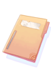 Document Files