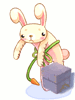 Drooping Bunny Box