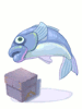 Evolved Blue Fish Box