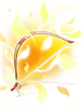 Narcissus Bow