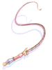 Phenomena Whip