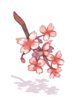 Costume Cherryblossom in Mouth