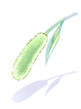 Costume Green Foxtail
