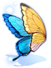 Costume Big Purple Swallowtail Butterfly Wings