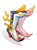 Enhanced Variant Shoes