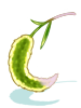 Eden Group Foxtail Staff II