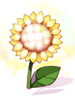 C Shining Sunflower