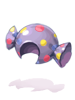 C Candy Hat