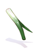 C Green Onion in Mouth