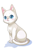 C White Cat