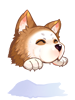 C Laughing Wonderful Wolf Hat