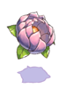 C Celestial Flower