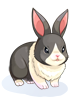 C Panda Rabbit
