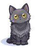 C Fluffy Cat