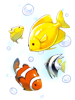 C Little Aquarium Lower