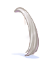 C Side Pony White