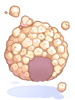 C Popcorn Wig