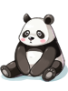 C Baby Panda