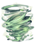 C Master of Wind