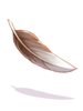 A feather in the mouth