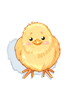 F Chick Hat