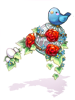 Birdcage in Paradise