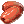 Kurma