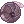 Sow Bug