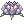 Celestial Woman's Flower