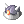 T Gemmed Sallet