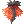 Fire Dragon's Coat