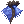 Water Dragon Coat