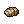 Swamp Bug Shell