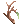 Dry Twig