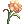 Mantis Flower