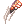 Falconer Claw