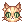 C Orange Tabby Cat