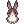 C Panda Rabbit