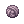 C Chignon Purple