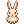 C Orange Rabbit