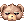 C Sunglass Bear Cap