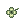Four Leaf Clover
