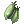 Silvervine Fruit