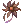 Dried Flower
