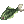 Crucian Carp