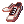 Soccer Shoes