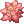 Lotus Flower