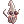Squid
