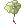 Lotus Leaf