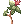 Poison Herb Makulata